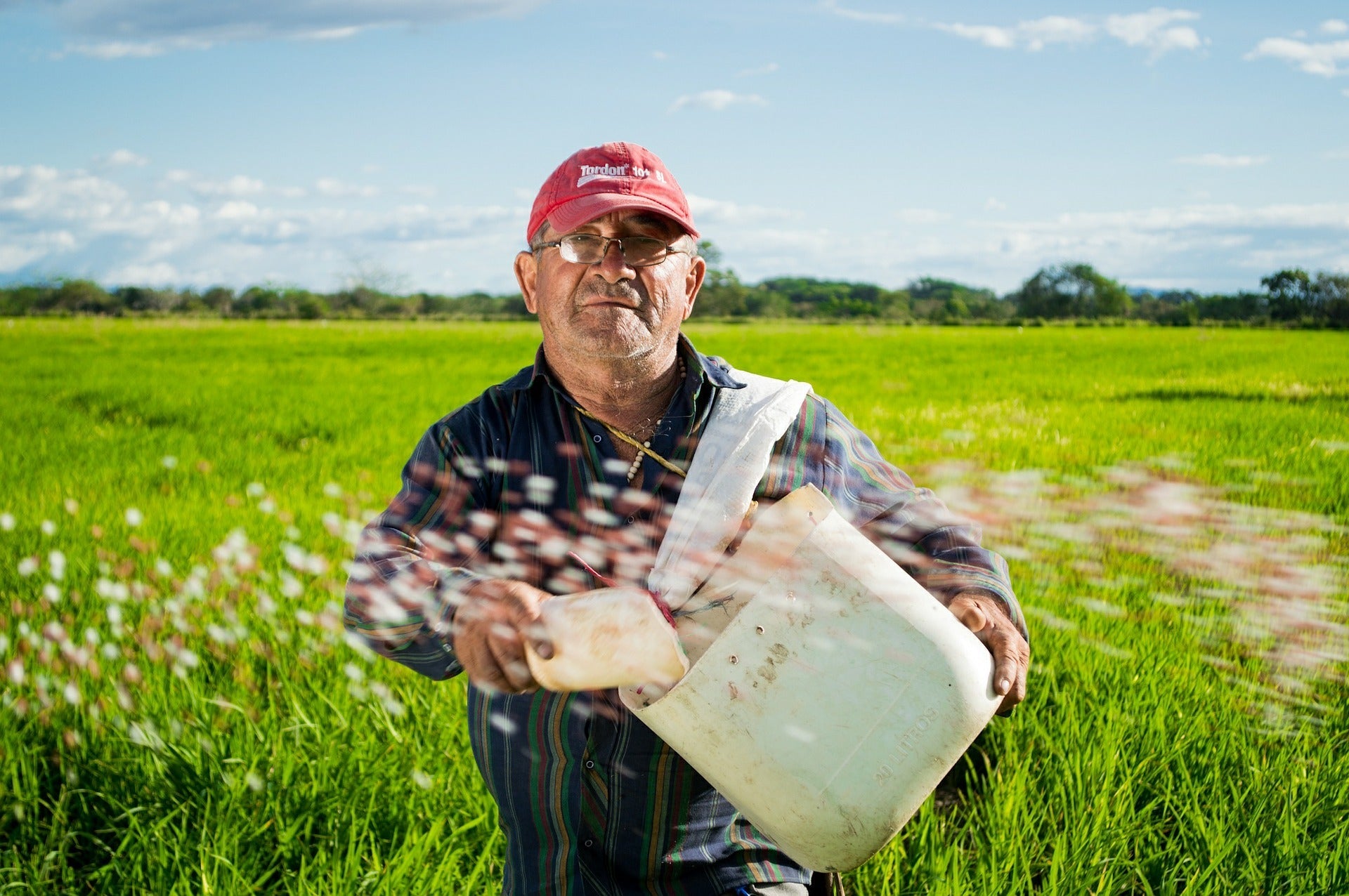 Agricultor aplicando fertilizante en tierra