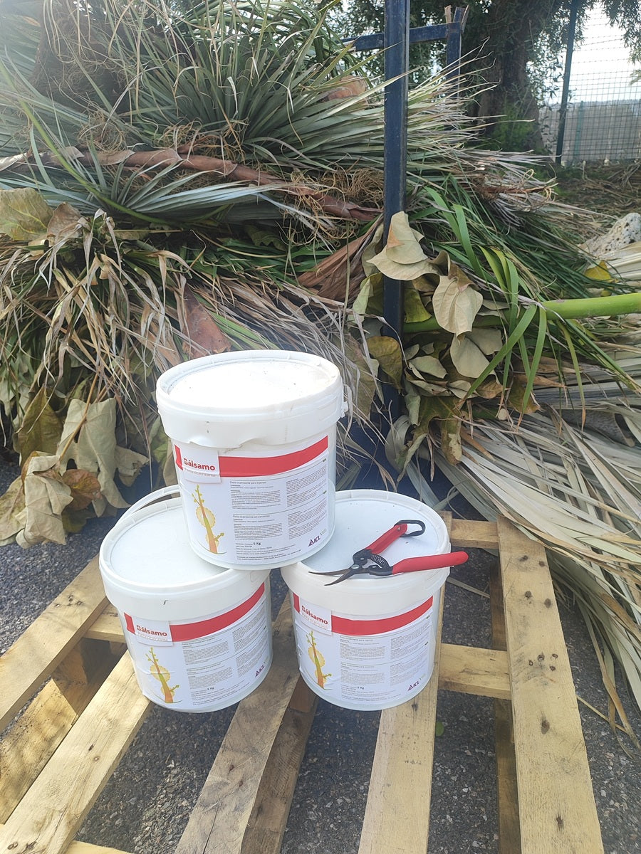 Poda de palmera junto con botes de pasta cicatrizante