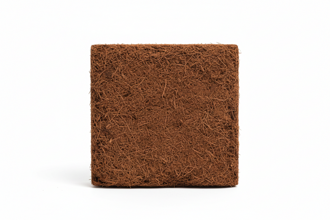 Fibra de coco en bloque
