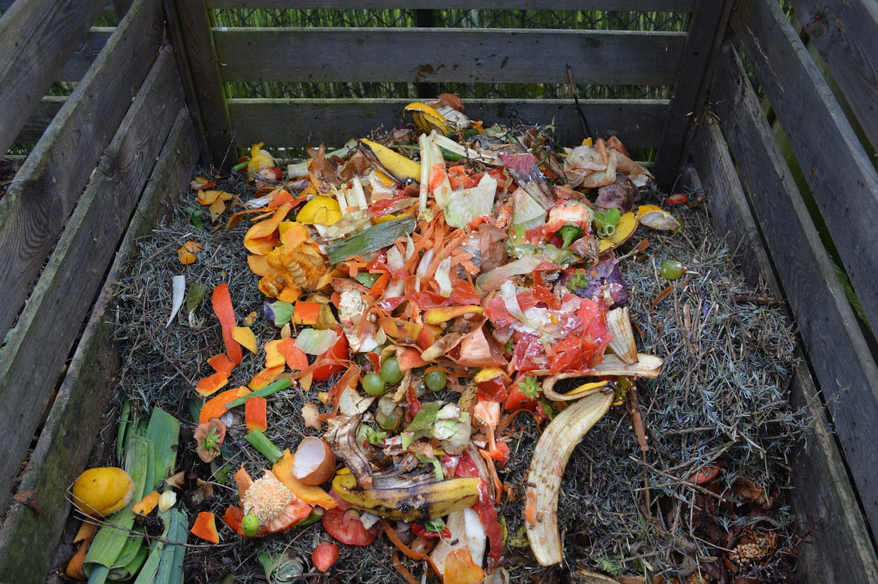 Compost orgánico natural