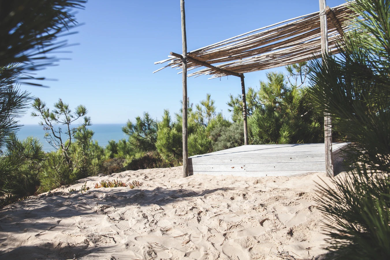 Pérgola construida con cañas de bambú
