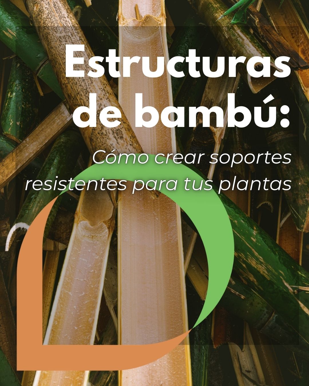 Estructuras con cañas de bambú