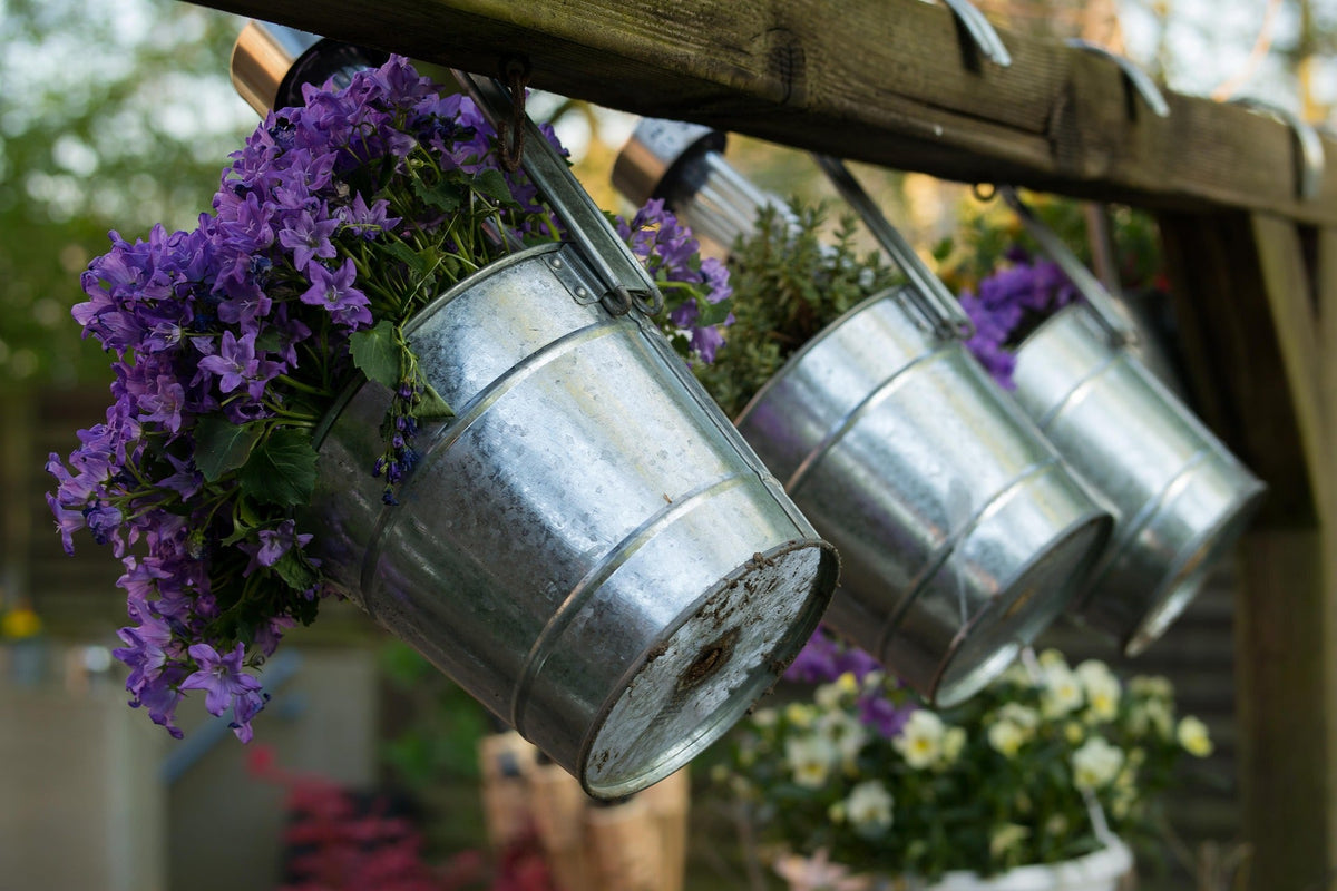 Flores lilas en macetas de aluminio