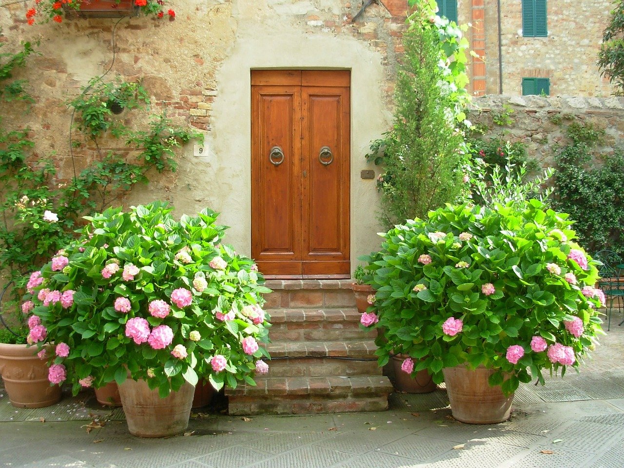 Entrada de casa con flores en maceta