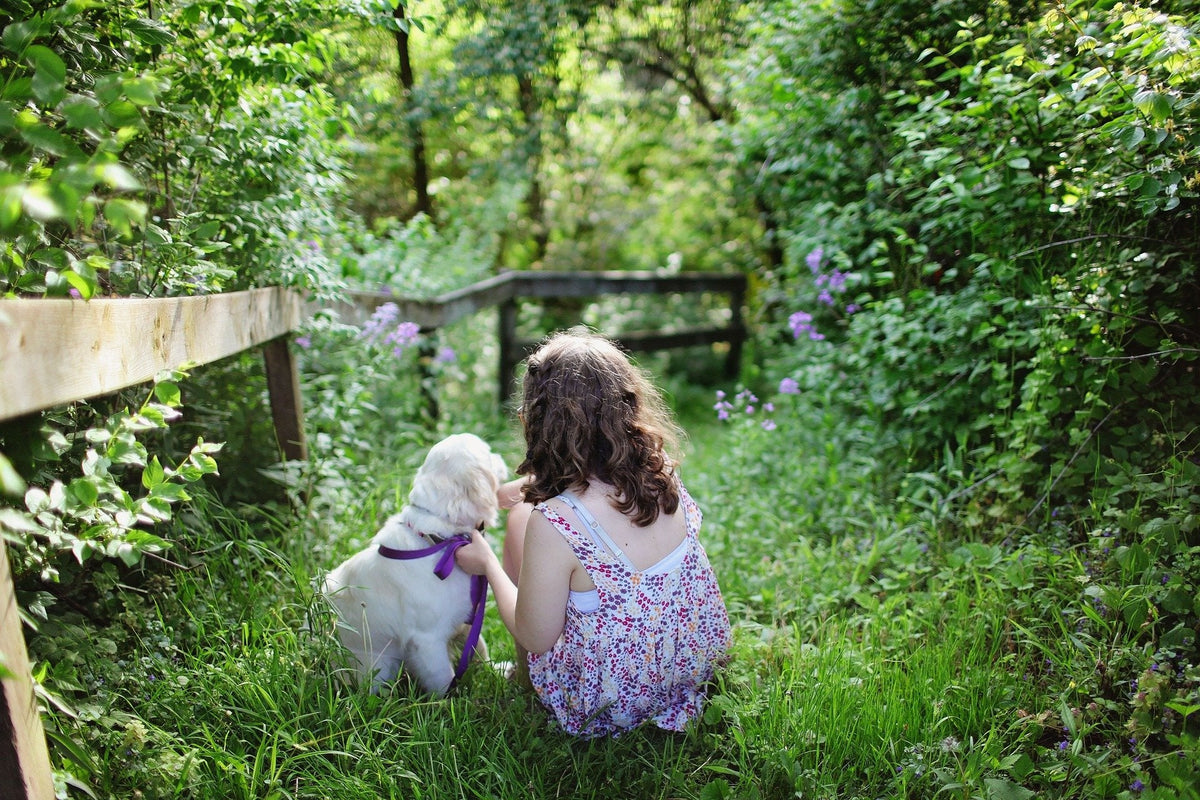 Niña jugando con perro en jardín