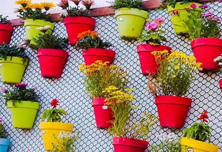 Realza la belleza de tus plantas con nuestras elegantes macetas decorativas