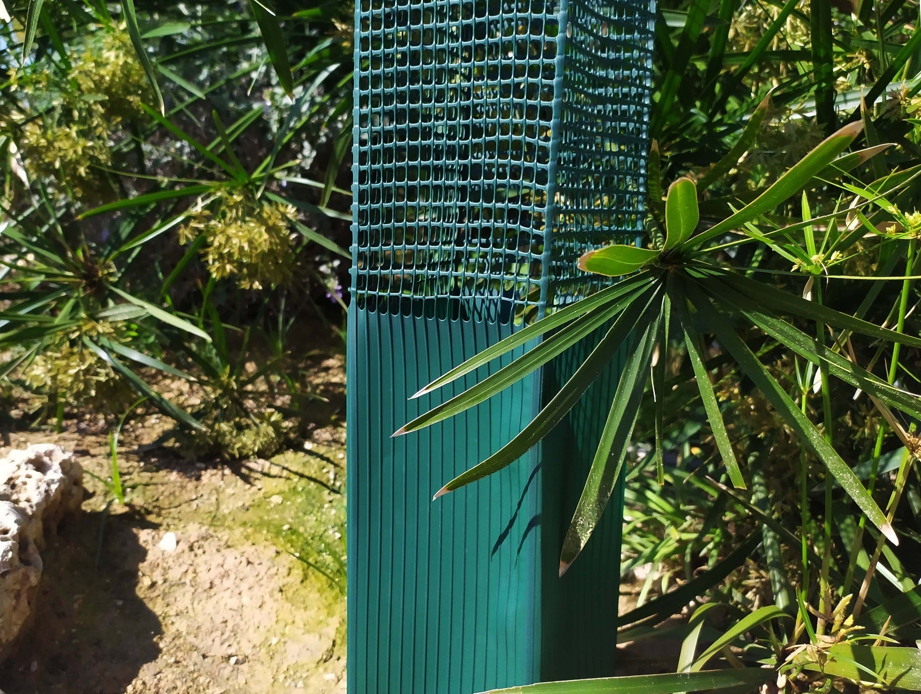Protector forestal con rejilla