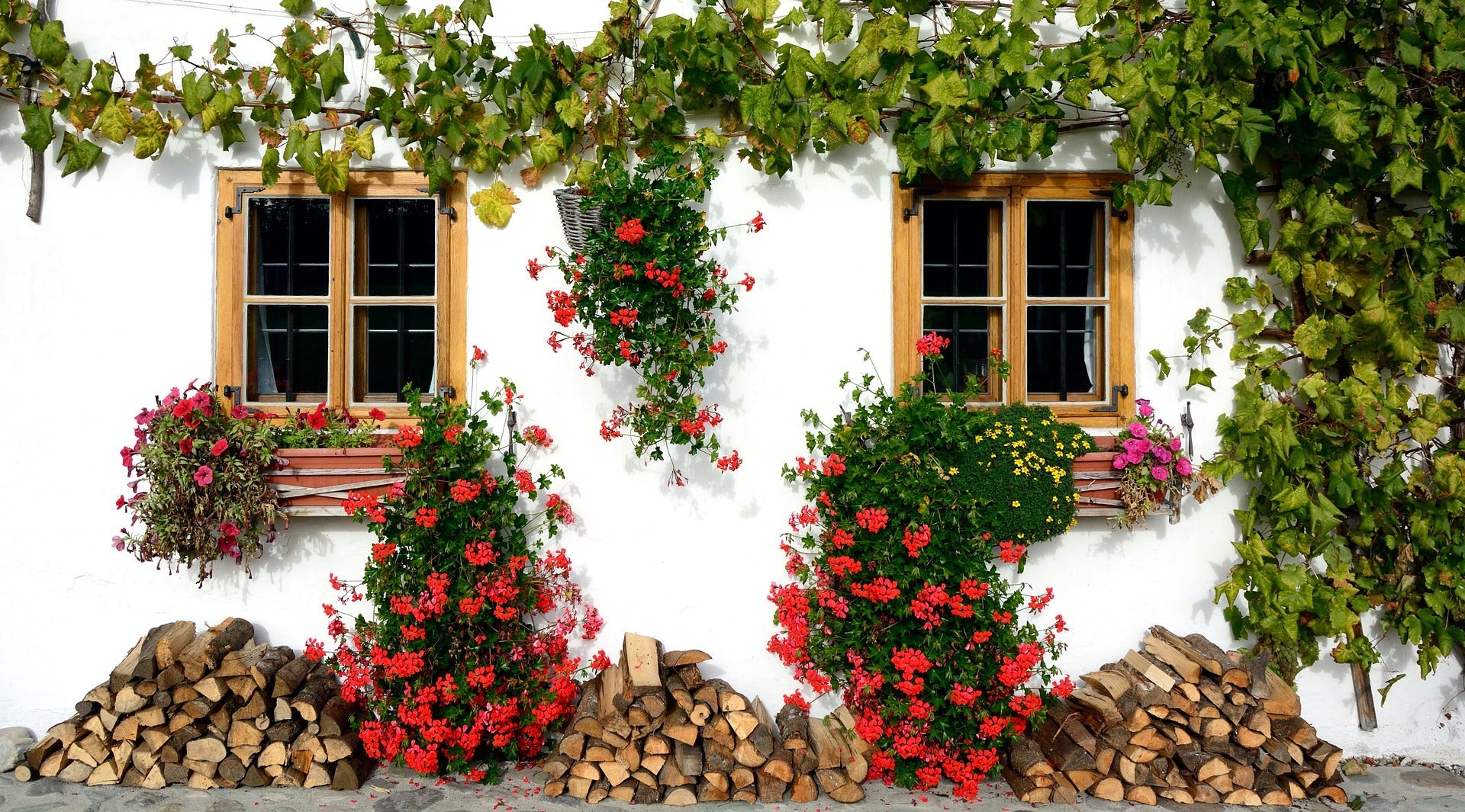Patio lleno de flores