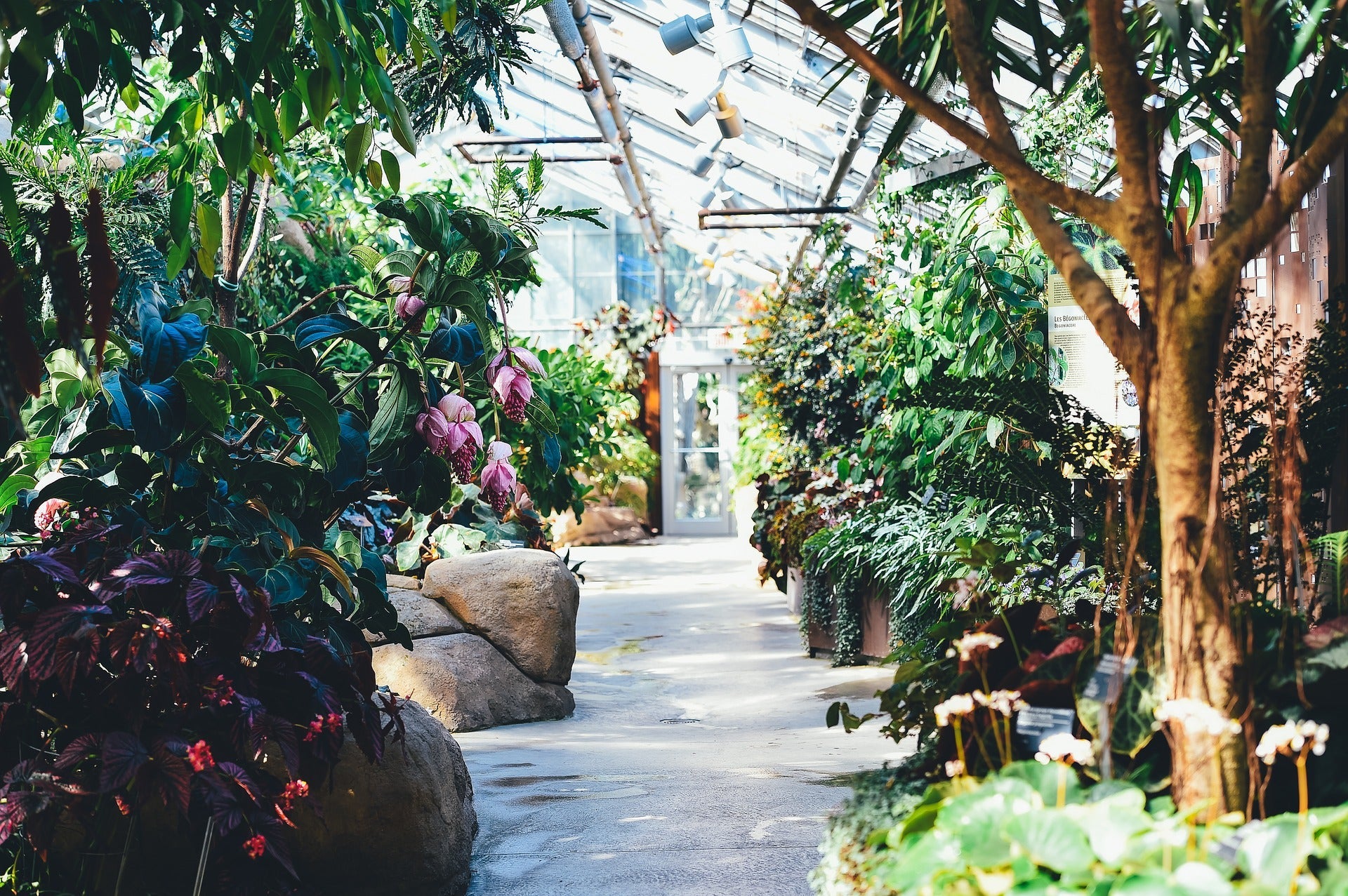 Jardín interior