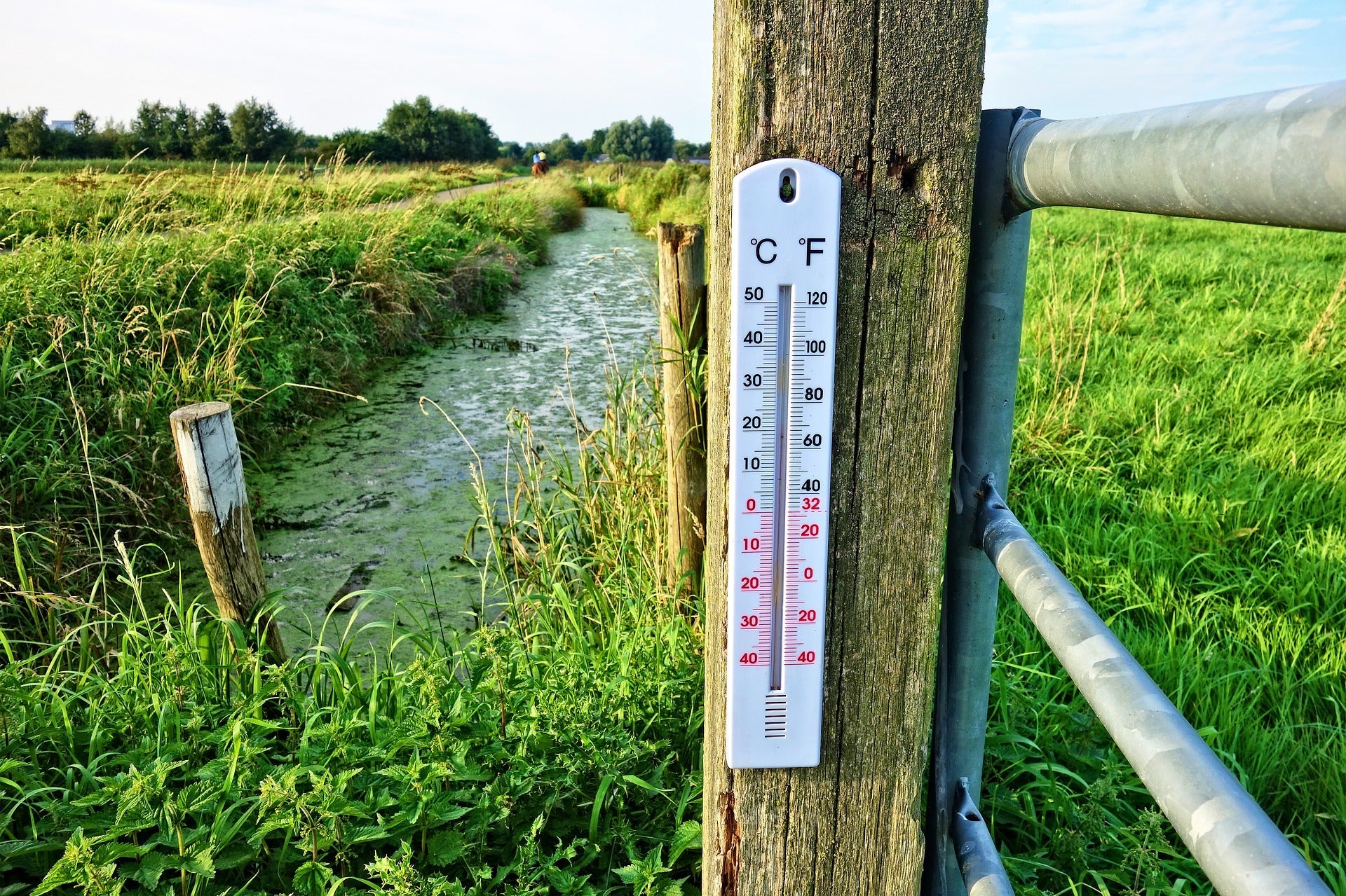 Termómetro marcando altas temperaturas en campo