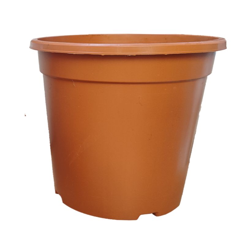 Contenedor Arena Alto – Maceta alta decorativa para viveros y planta verde