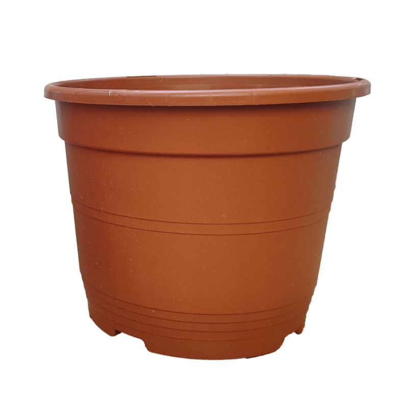 Contenedor Arena Bajo – Maceta decorativa profesional para viveros y arbustos