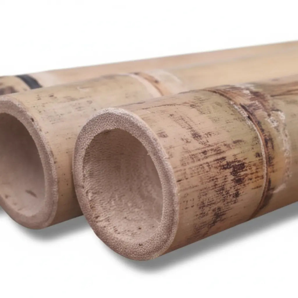 Cannes de Bambou Naturel (Tuteurs pour Plantes)