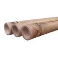 Cañas de bambú de gran calibre para decoración