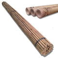 Cañas de bambú en paquetes