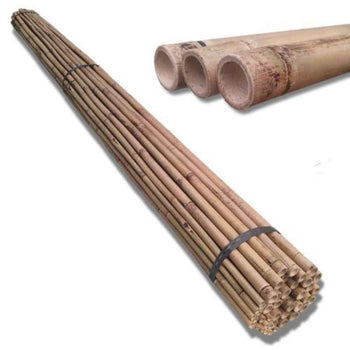Cañas de Bambú Natural (Tutores para Plantas)