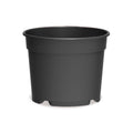 Maceta de producción baja para Poinsetia de color gris antracita