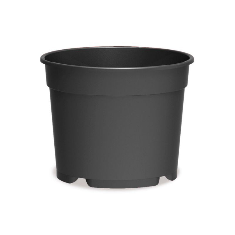 Maceta de producción baja para Poinsetia de color gris antracita