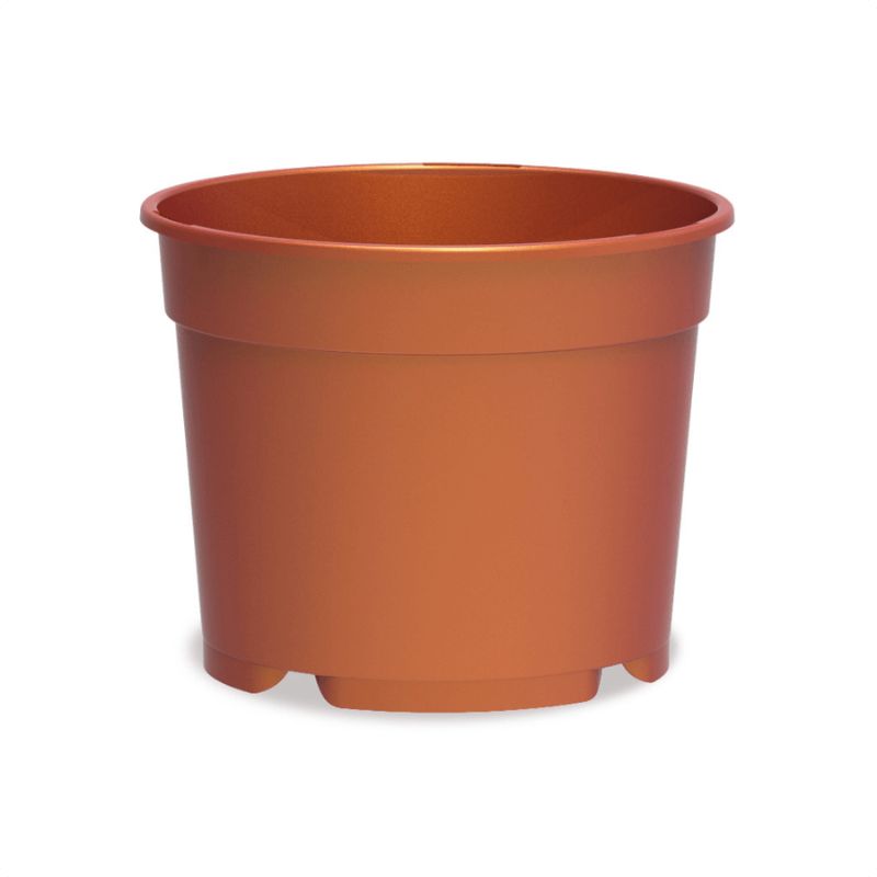 Maceta de producción baja para Poinsetia de color marrón terracota