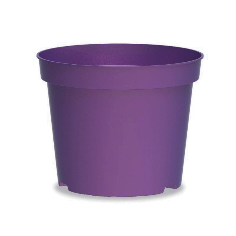 Maceta de producción baja para viveros de color lila