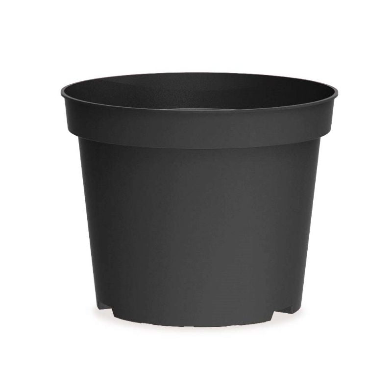 Maceta de producción baja para viveros de color gris antracita