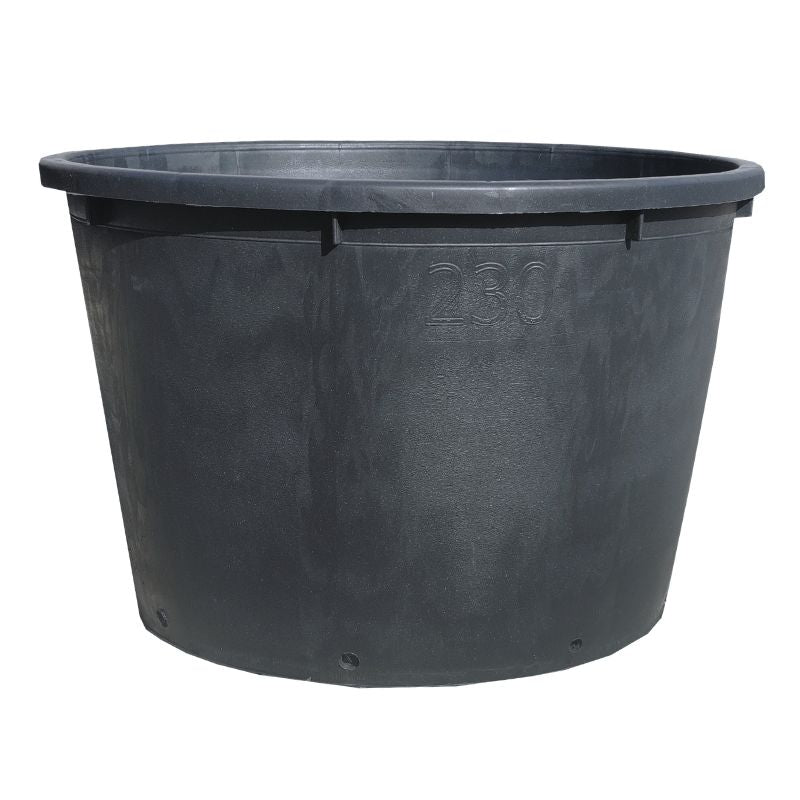 Cubeta sin asas baja | Maceta para cactus y plantas de raíces superficiales
