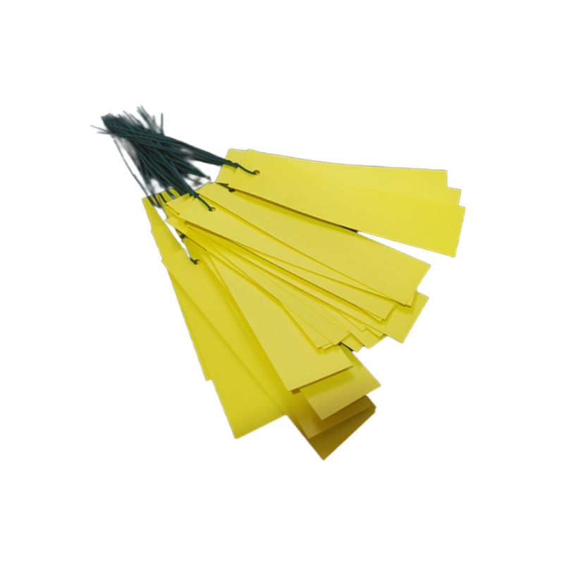 Pack de 100 unidades de etiquetas colgantes con alambre para árboles e injertos de color amarillo