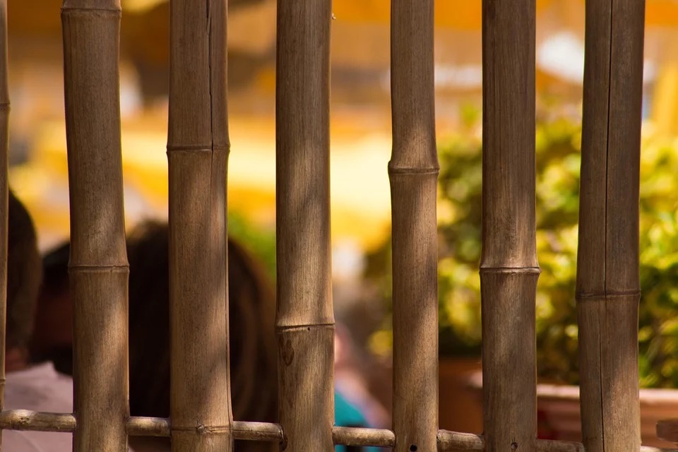 comprar cañas de bambu gigantes, palos de bambu para decoracion