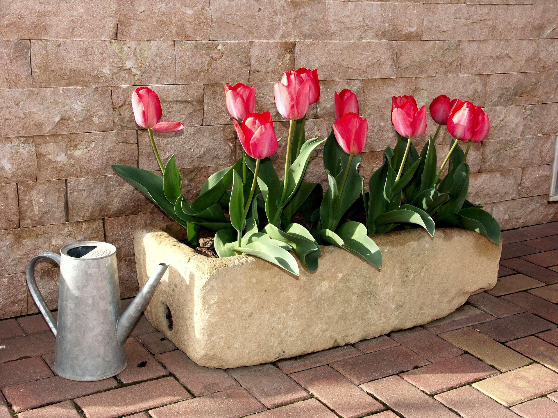 jardinera rectangular decorativa con rosas cultivadas