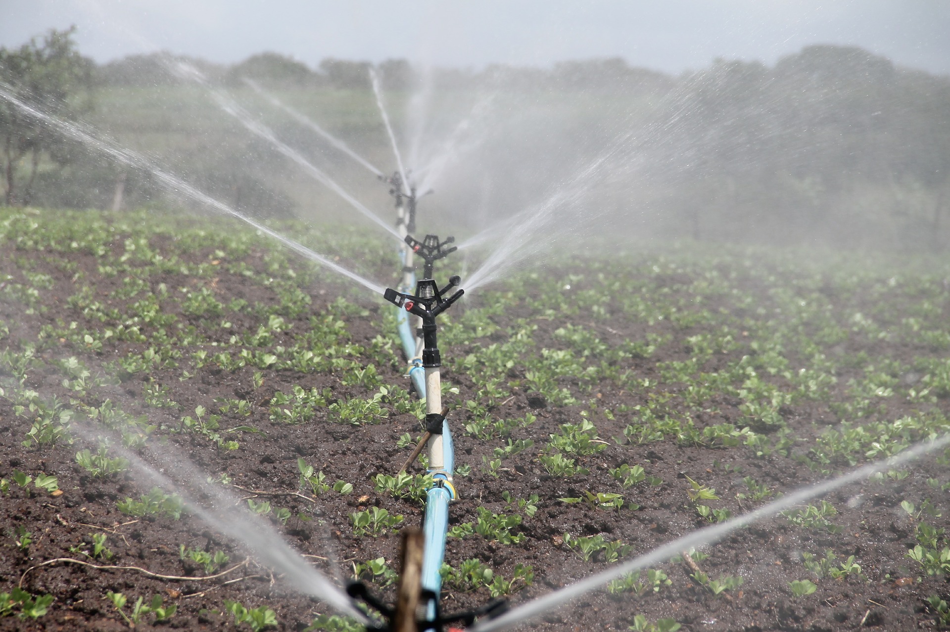 sistema de riego por irrigación