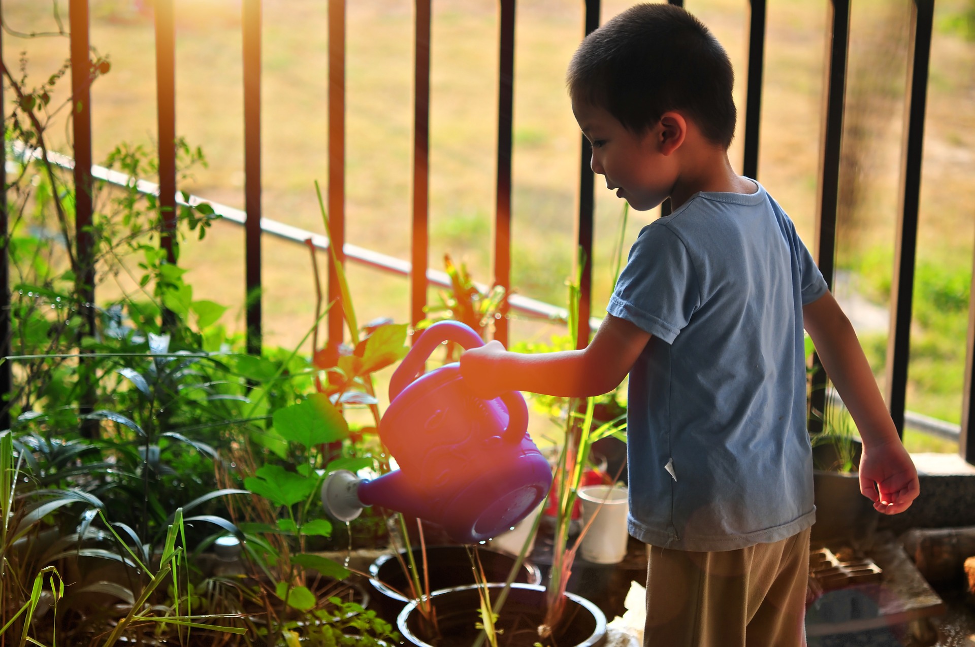 regadera para niños novatos en jardinería