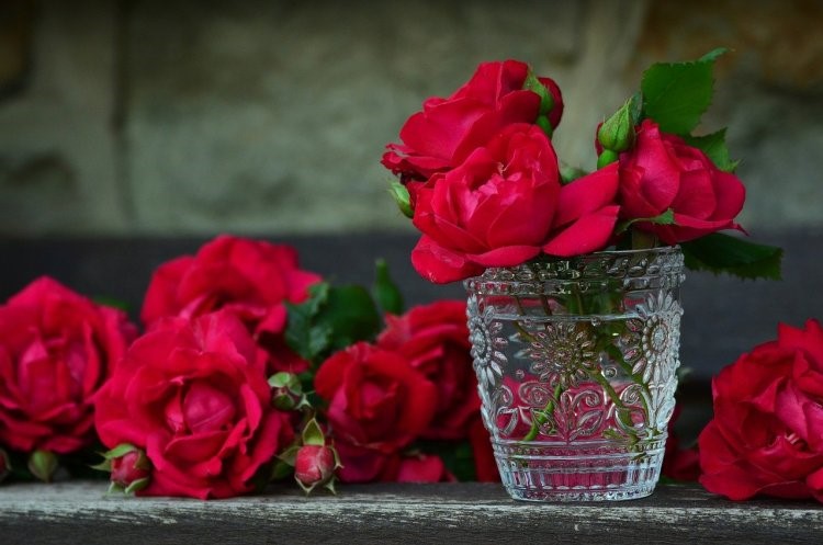 rosas para jardín de flores comestible