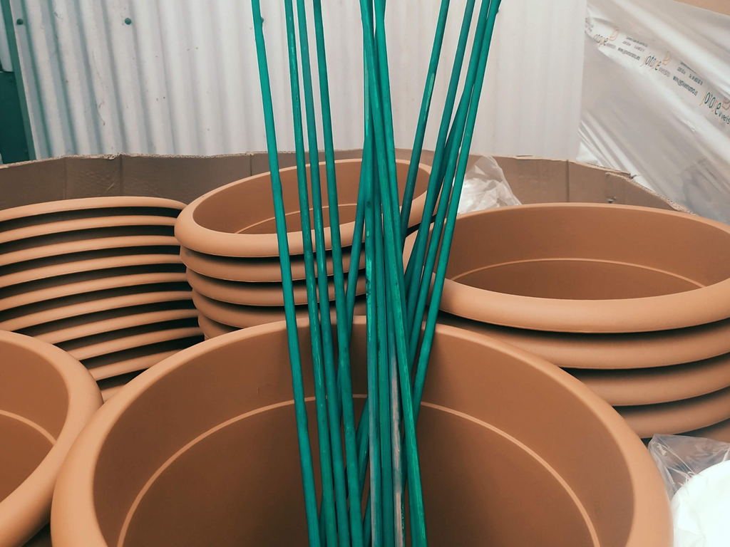 Recortes de cañas de bambú verde para entutorar flores y plantas en maceta