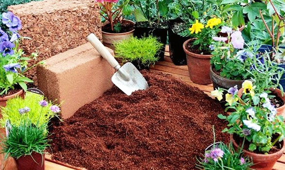 siembra tus plantas con fibra de coco en bloques