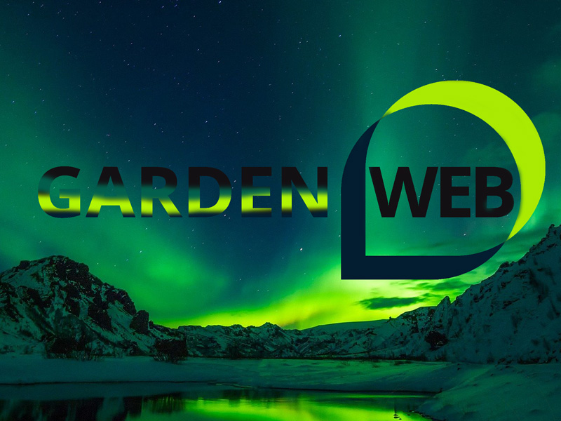 logo de invierno de gardenweb