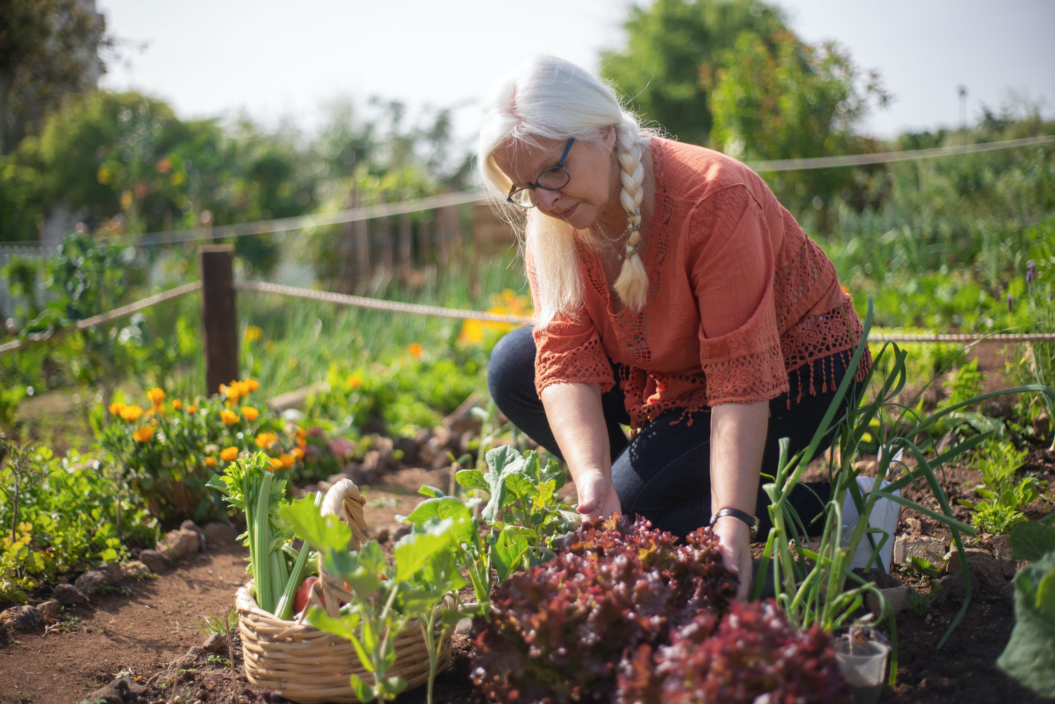 ▷ Cómo cultivar un huerto en una Terraza: Guía con fotos