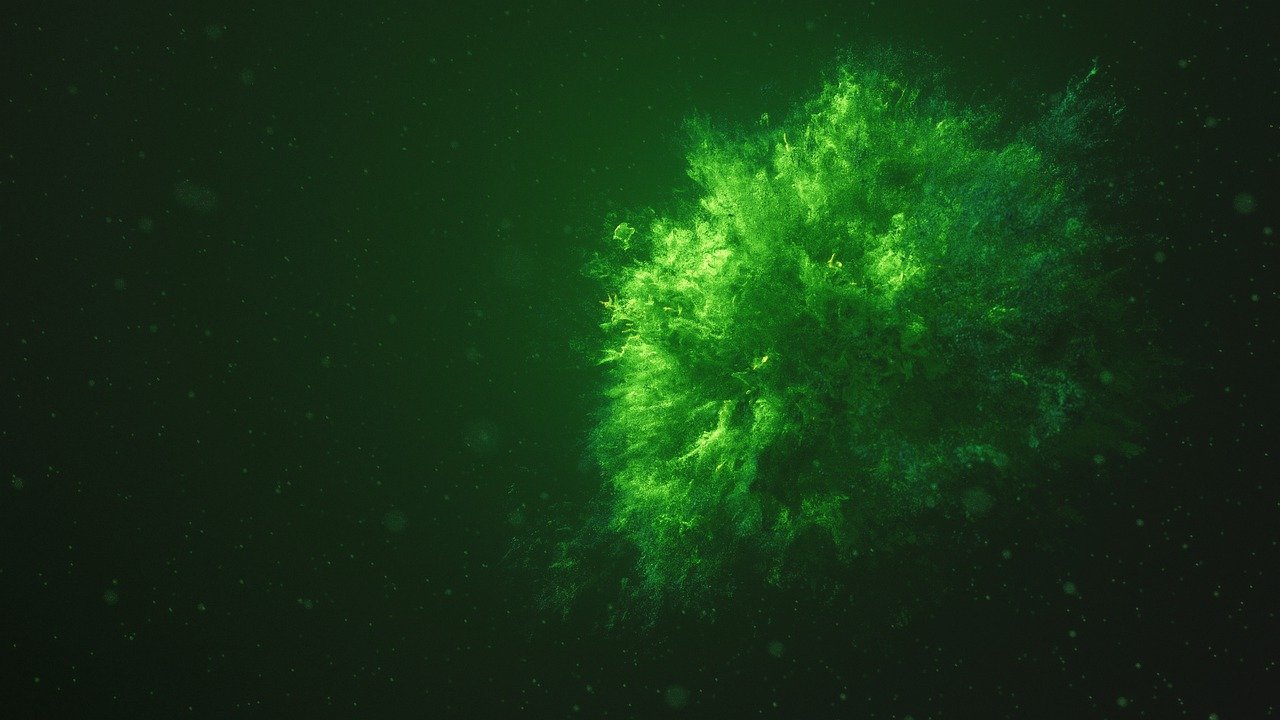 micro alga en agua verde