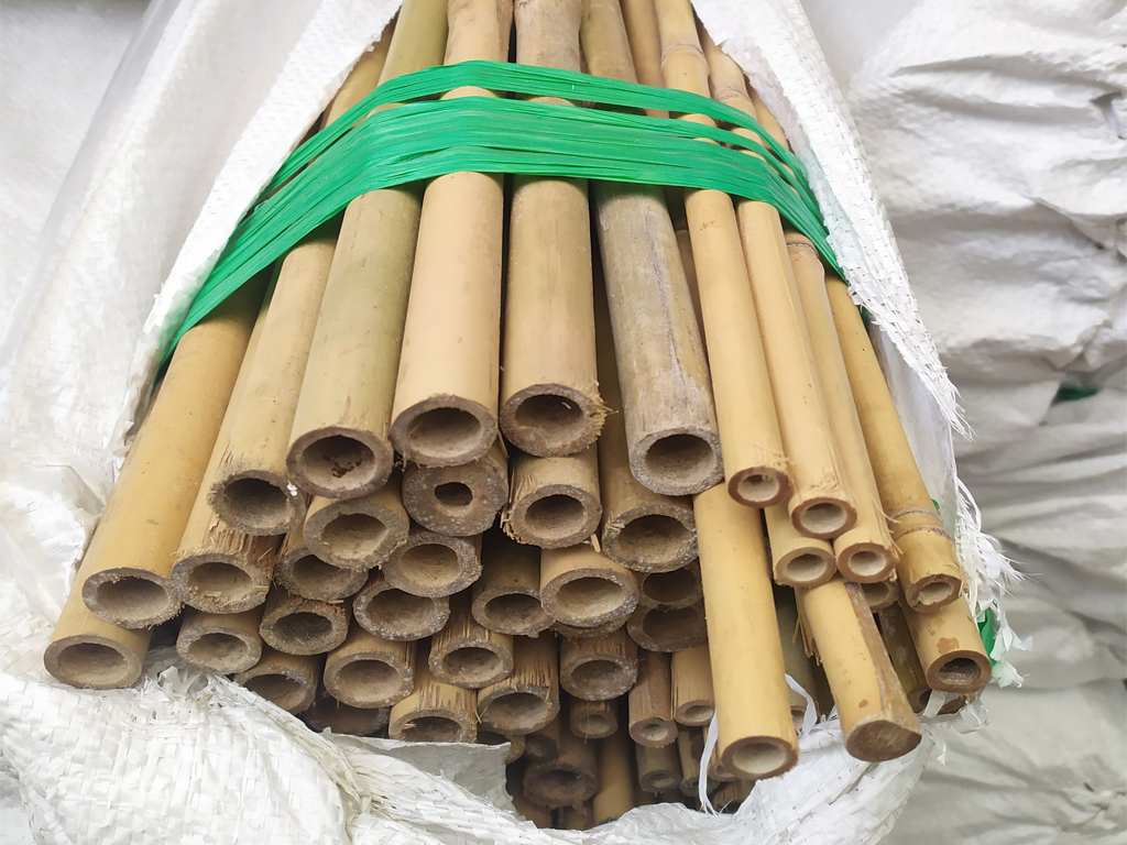 compra tutores de bambu en paquetes para plantas trepadoras