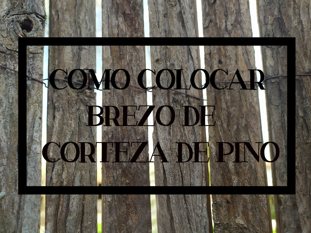 BREZO + COCO – Tu marca de Jardín, Cultivo y Decoración