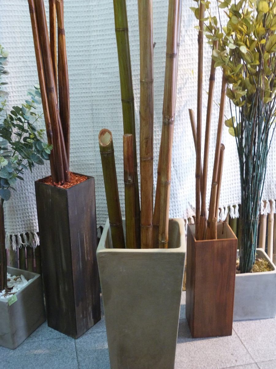 composición decorativa en macetero de resina elaborada con cañas de bambú ejemplares o de gran calibre