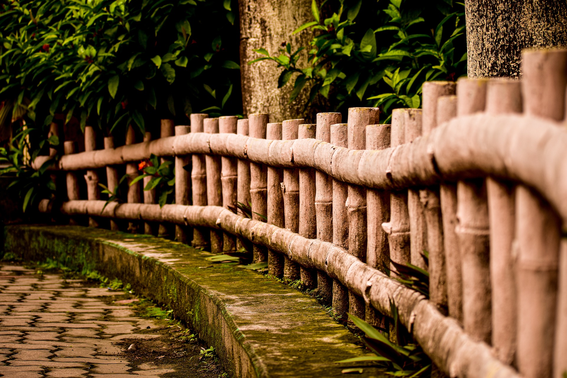 Caña Bambú Marrón