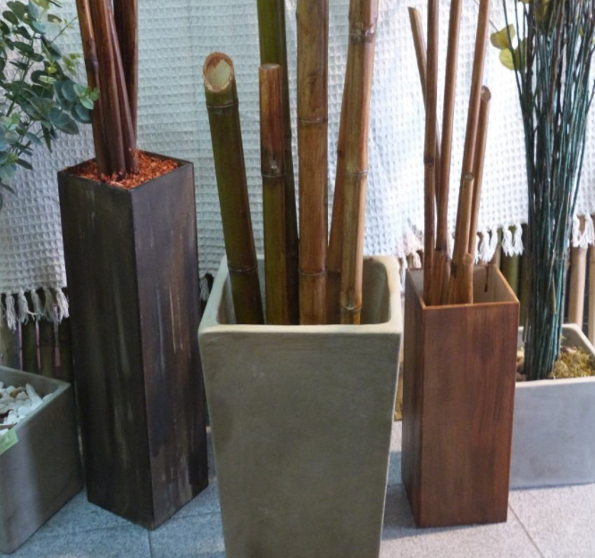 cañas de bambu ejemplares en macetero