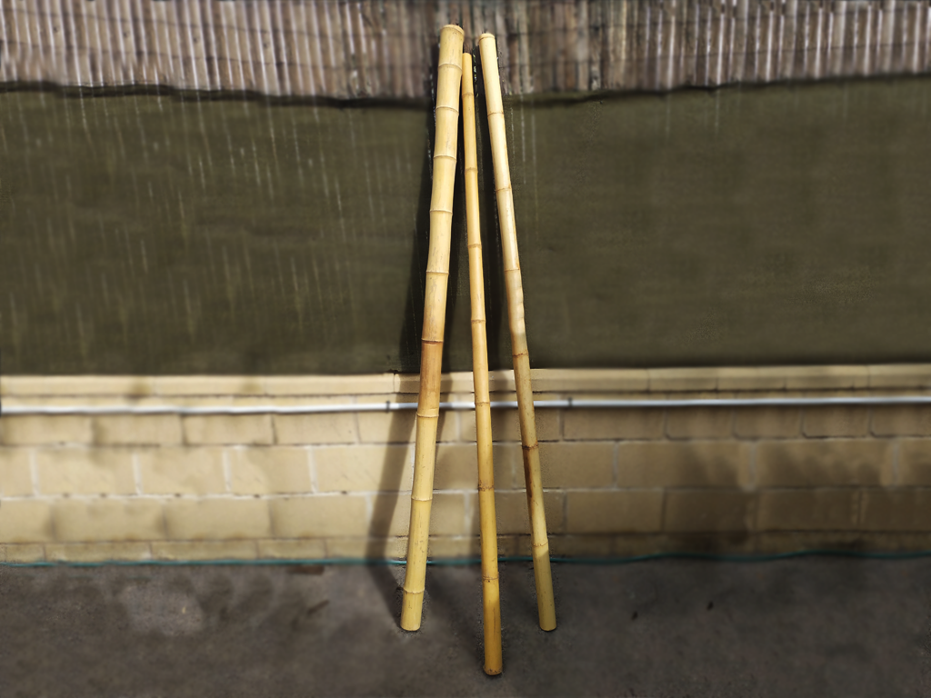 bambu ejemplar de gran calibre