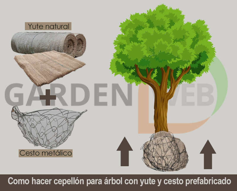 cepellón para raíces de árbol fabricado con yute natural y cesto metálico