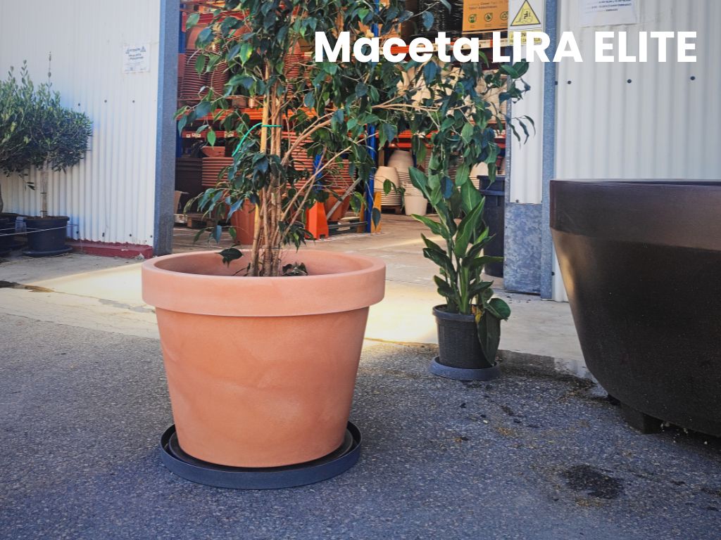Compra maceta de resina LIRA ELITE de color terracota