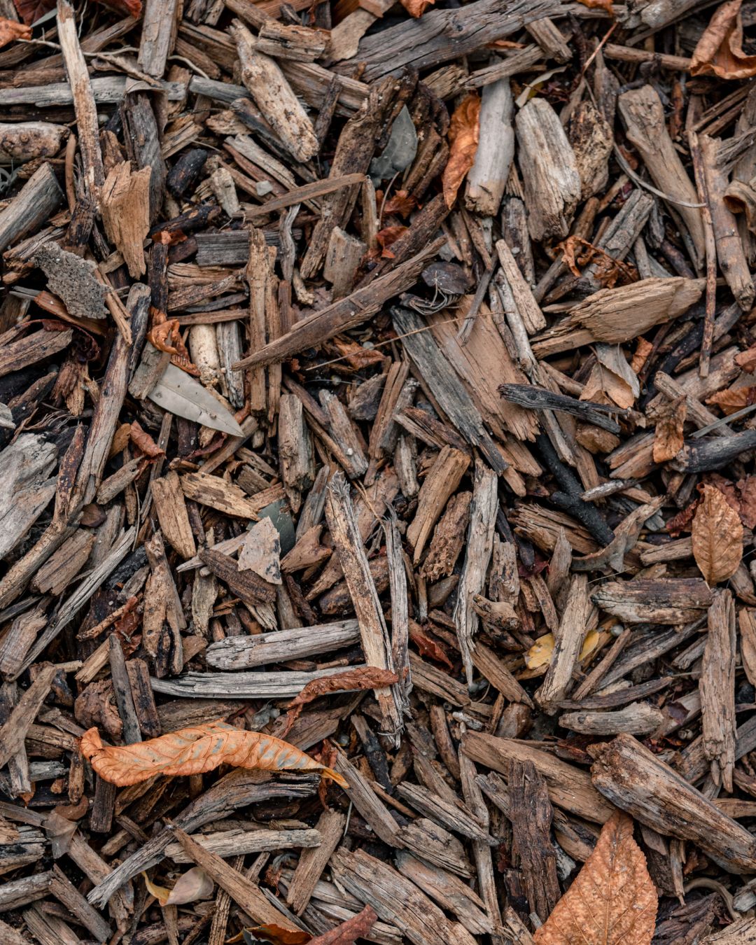 acolchado para plantas de corteza de pino