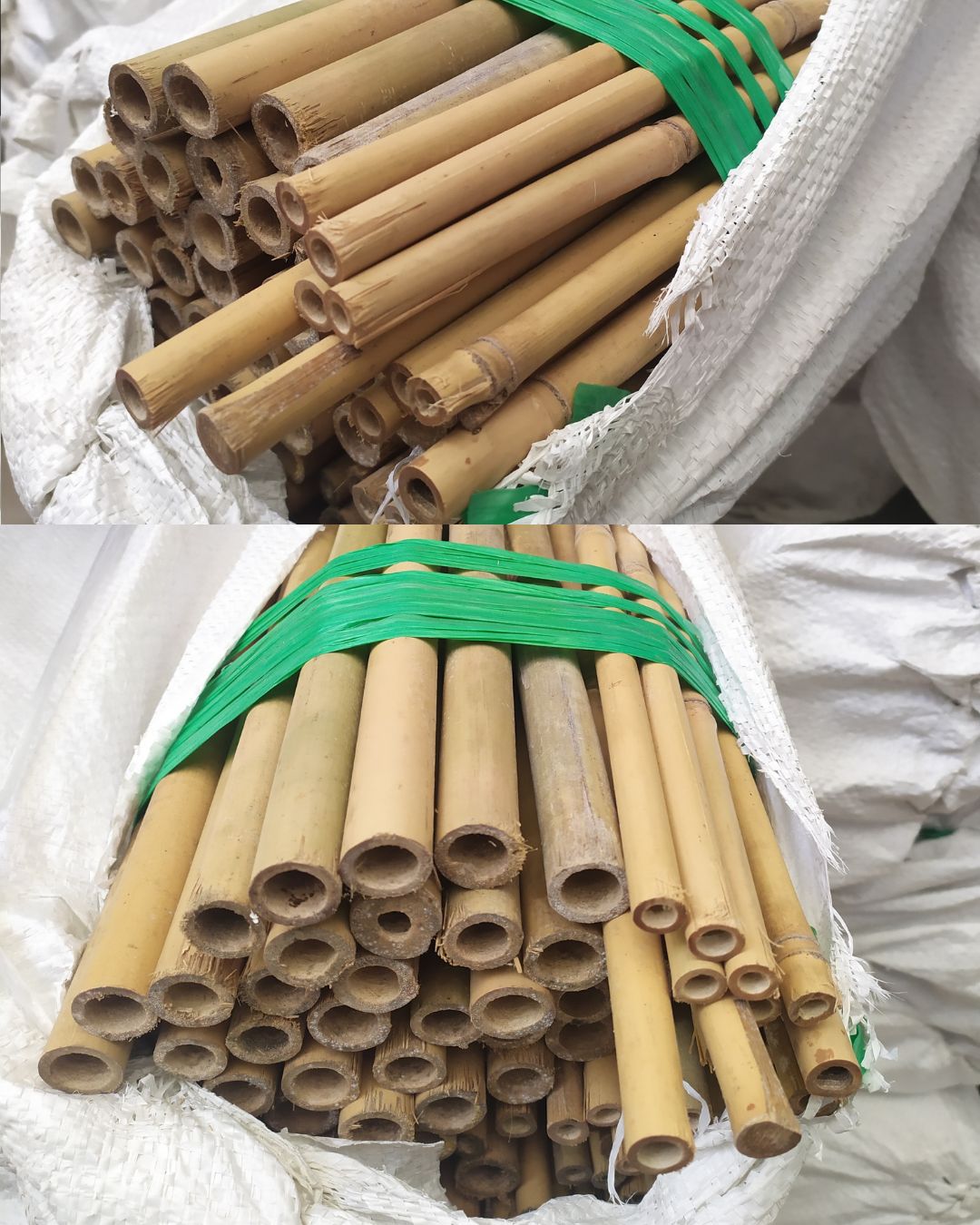 Paquetes de cañas de bambu