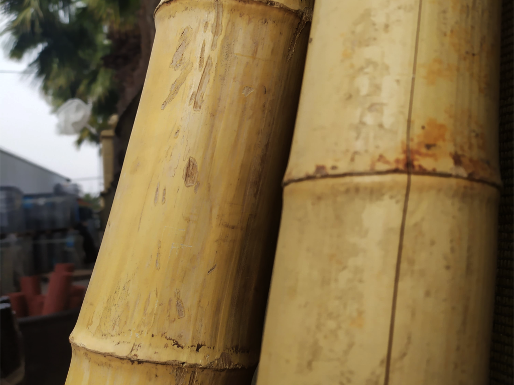 comprar cañas de bambu gruesas para decorar exteriores online