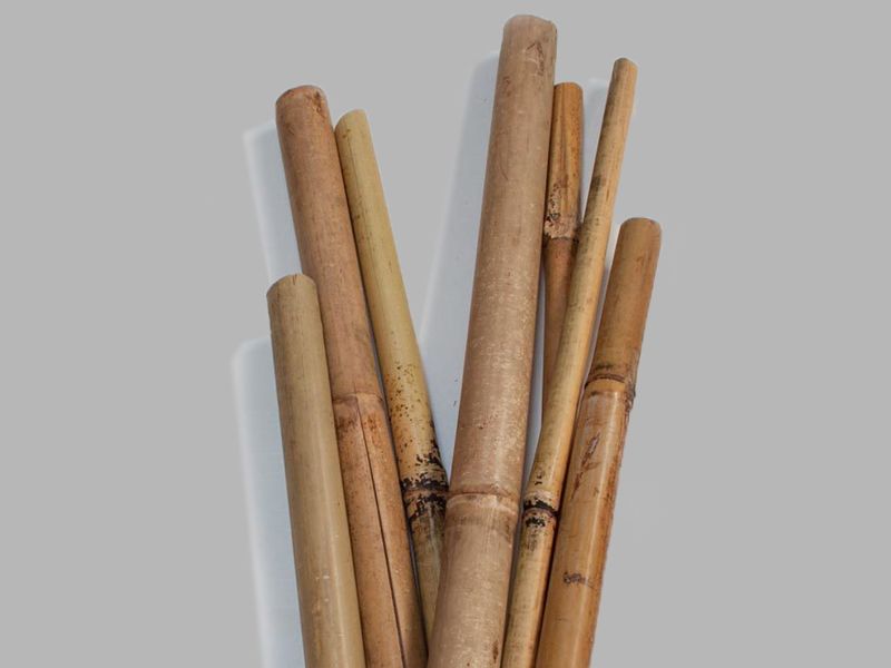 Bambú para entutorar