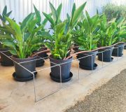 REJILLA SOPORTE PARA MACETAS Ø30